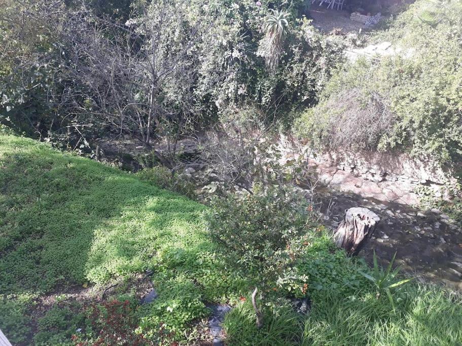 Quinta Cadoico Apartment Loulé Kültér fotó